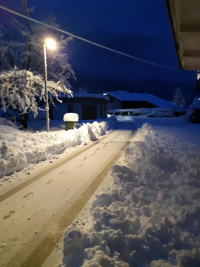 Apartament Alpska Roza Kranjska Gora Zewnętrze zdjęcie