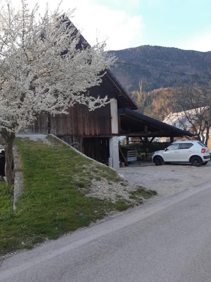 Apartament Alpska Roza Kranjska Gora Zewnętrze zdjęcie