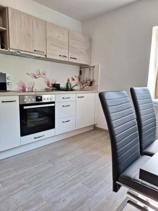 Apartament Alpska Roza Kranjska Gora Zewnętrze zdjęcie