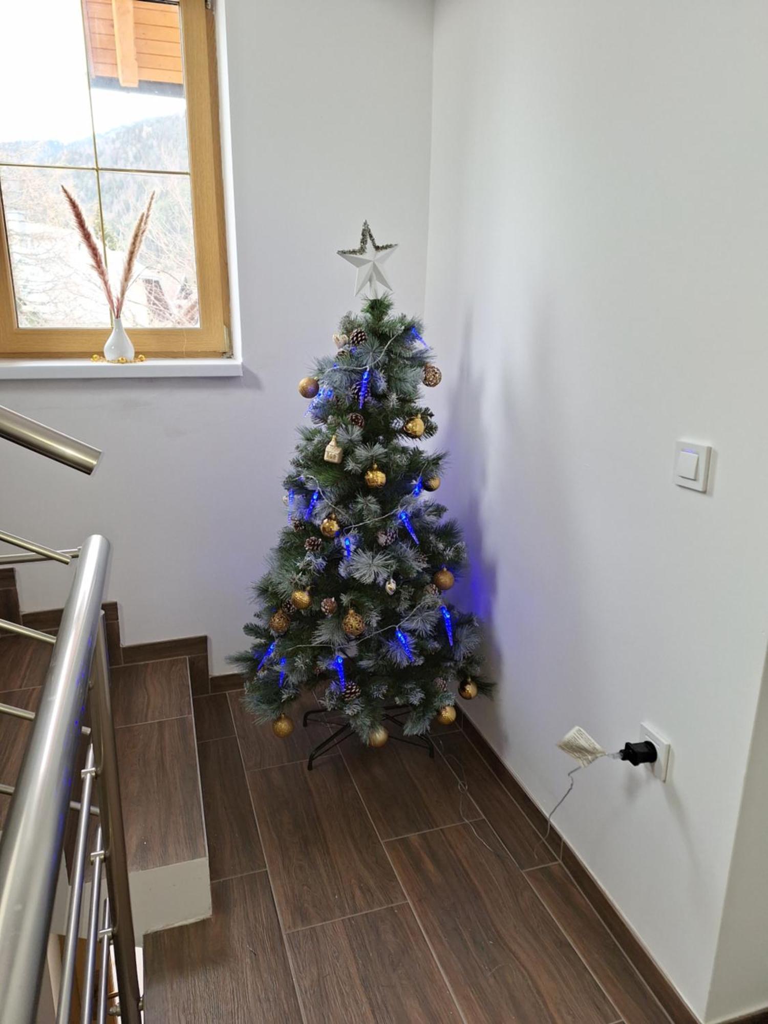 Apartament Alpska Roza Kranjska Gora Zewnętrze zdjęcie